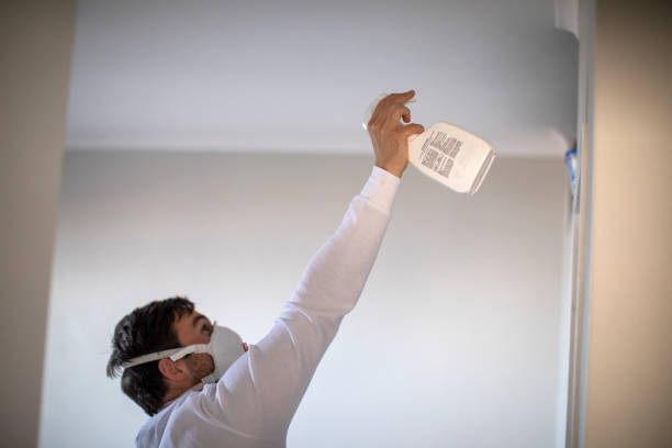 Attic Mold Removal in Midland, MI