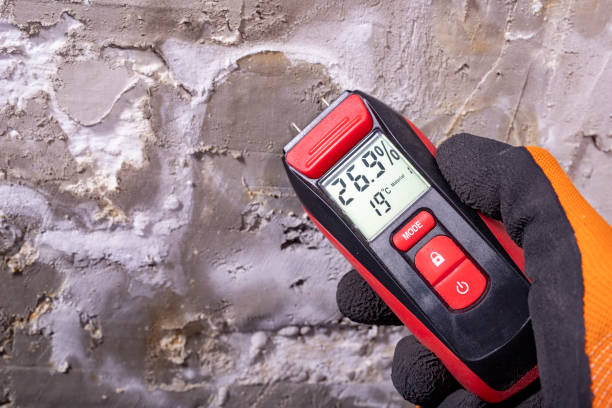 Best Mold Testing  in Dland, MI