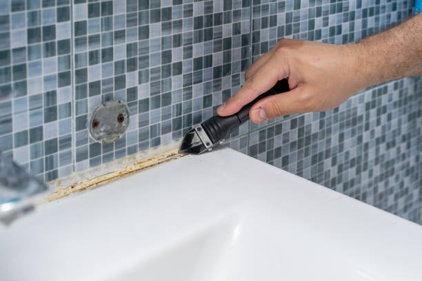 Best Affordable Mold Removal  in Dland, MI