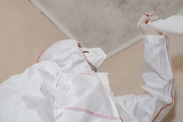Best Emergency Mold Removal  in Dland, MI
